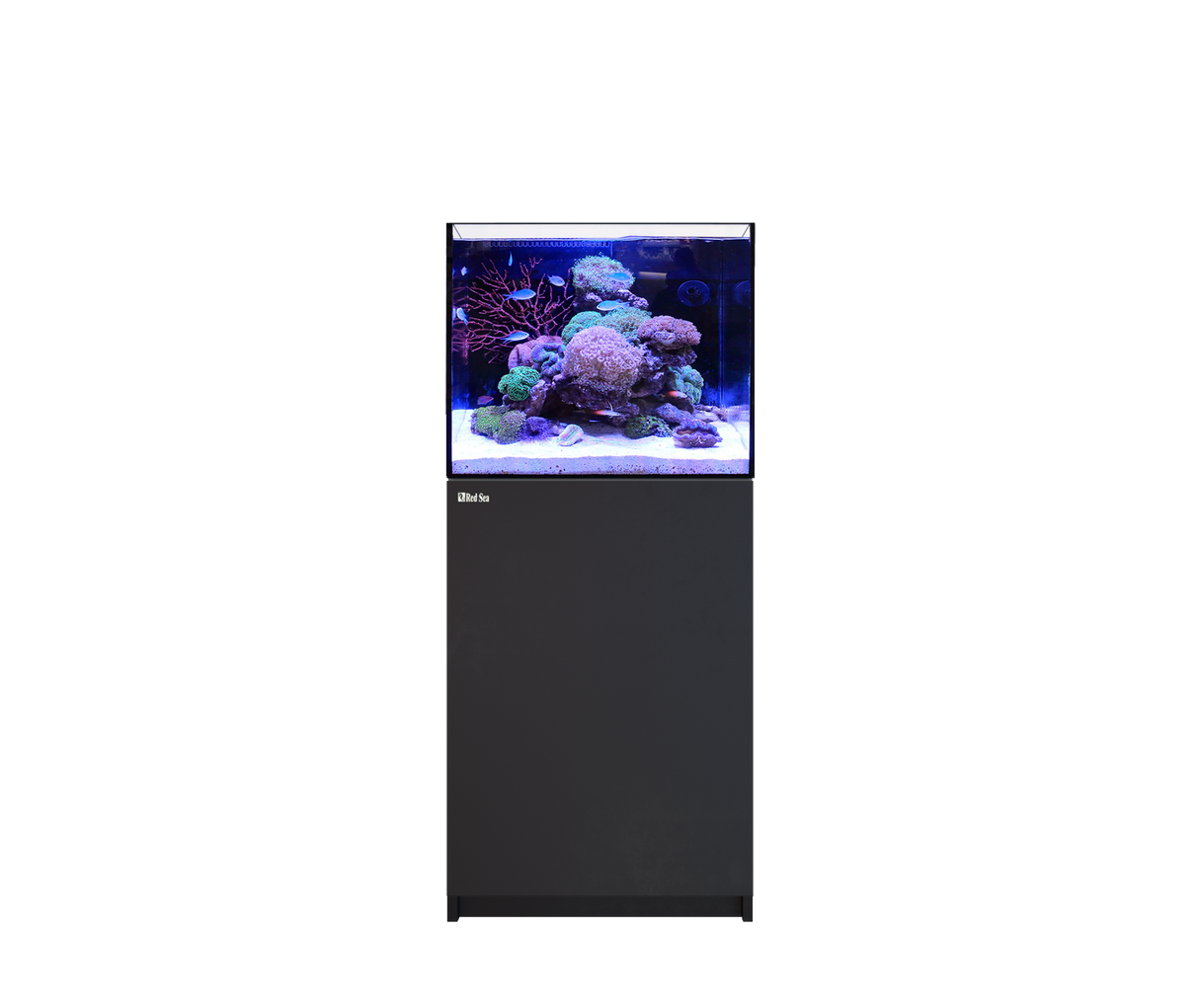 Red Sea Reefer MAX 170 G3 Aquarium Package | EasternMarine Aquariums