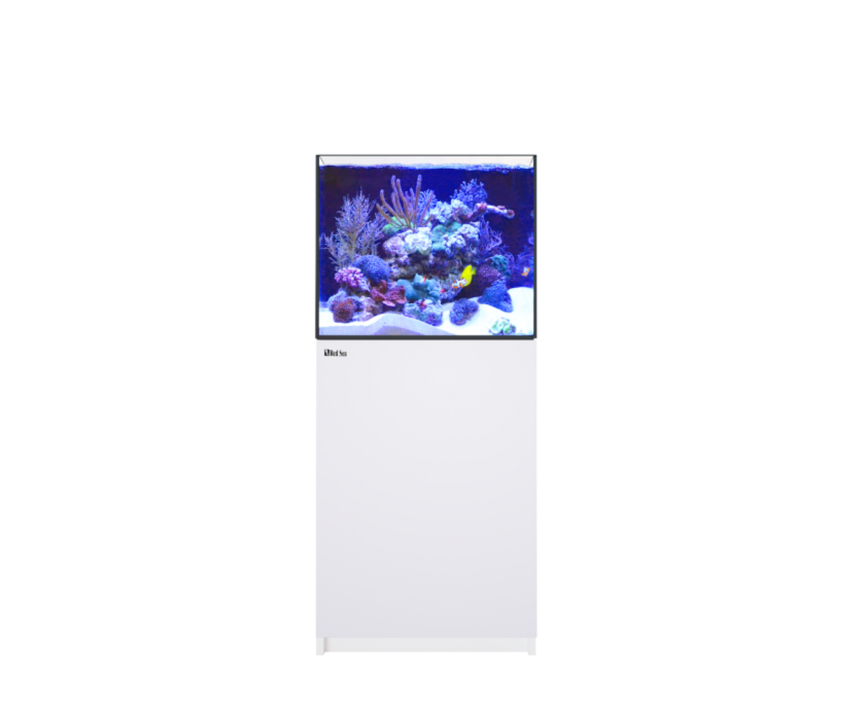 Red Sea Reefer MAX 200 G3 Aquarium Package | EasternMarine Aquariums