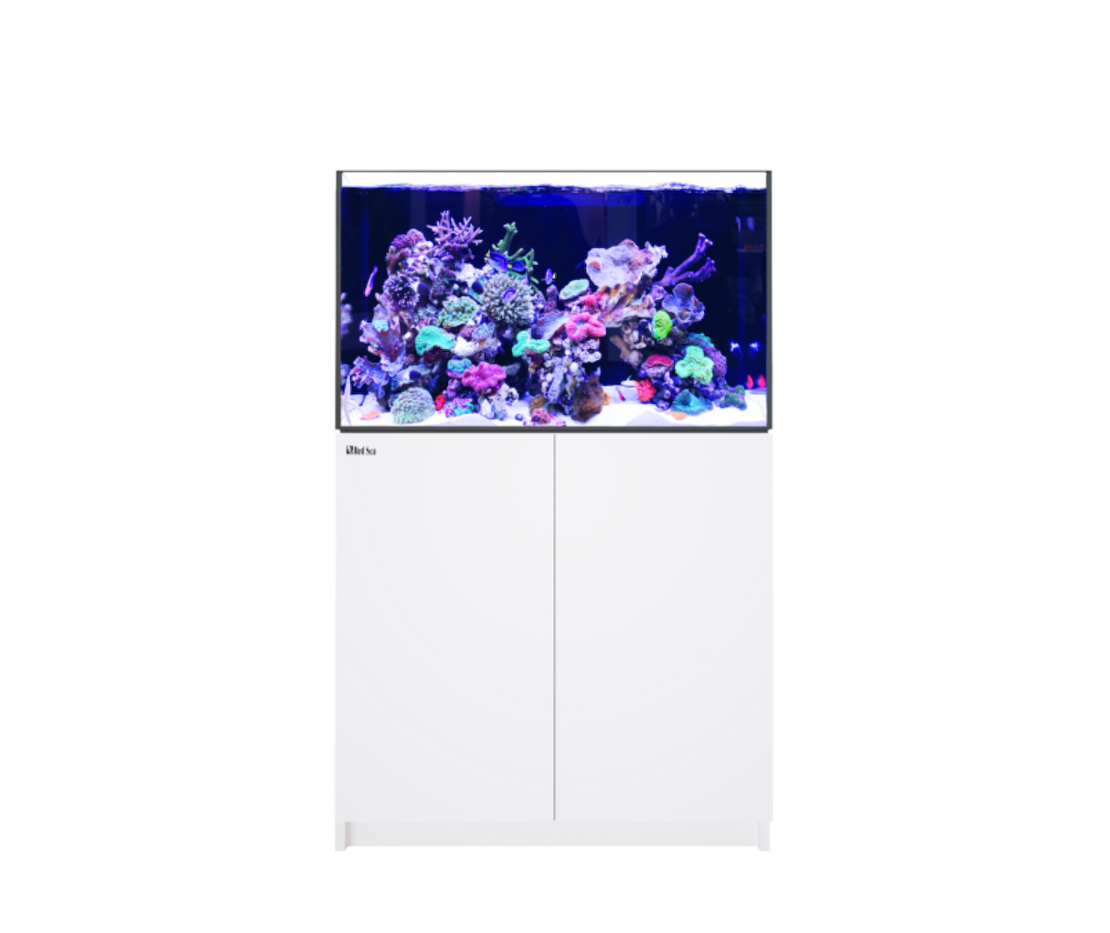 Red Sea Reefer MAX 300 G3 Aquarium Package | EasternMarine Aquariums