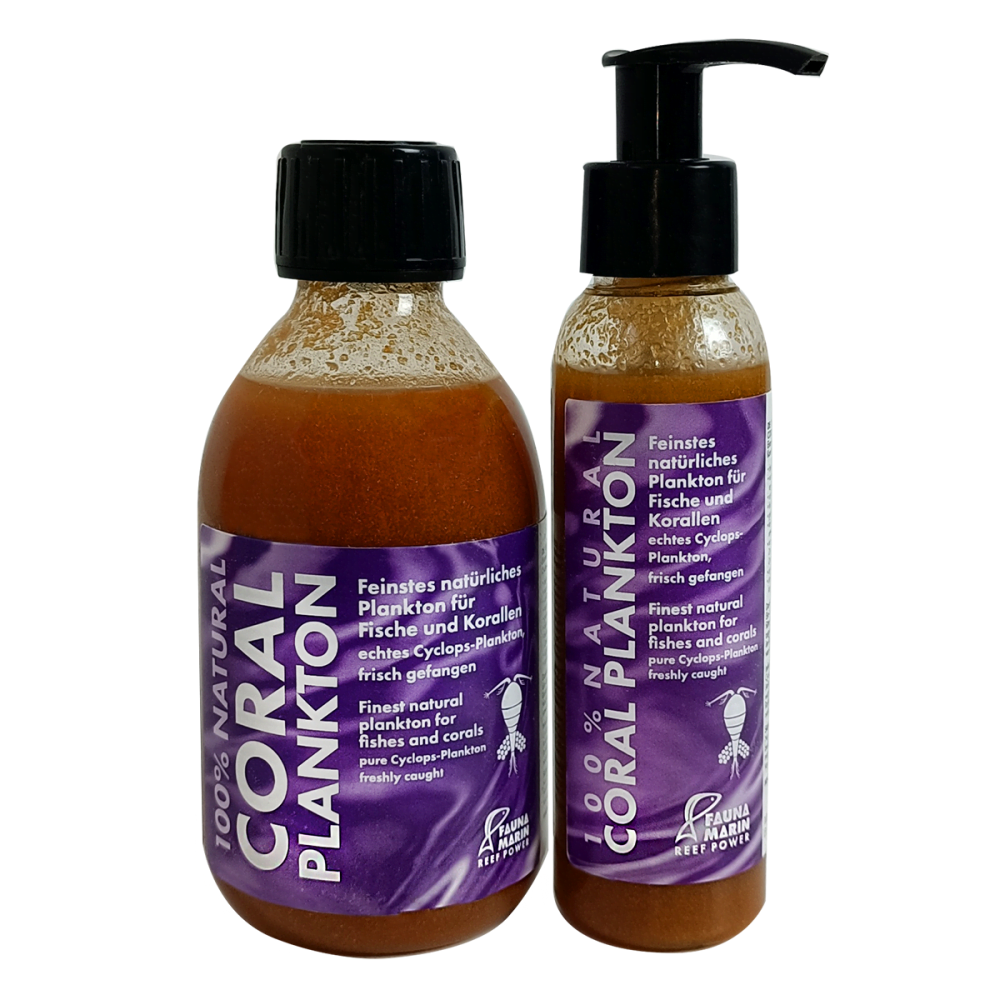 Fauna Marin Coral Plankton