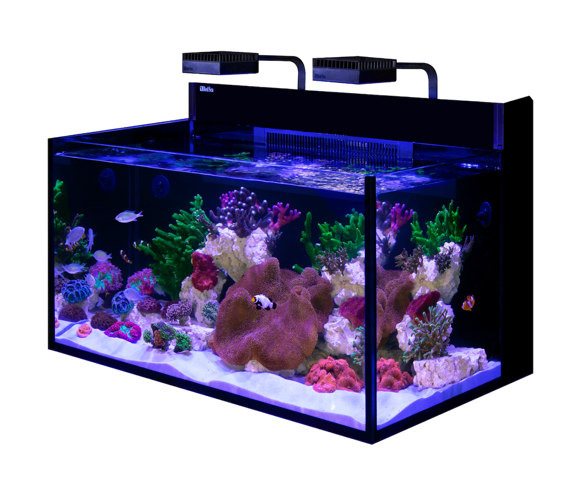 Red Sea Max Nano G2 XXL Aquarium System