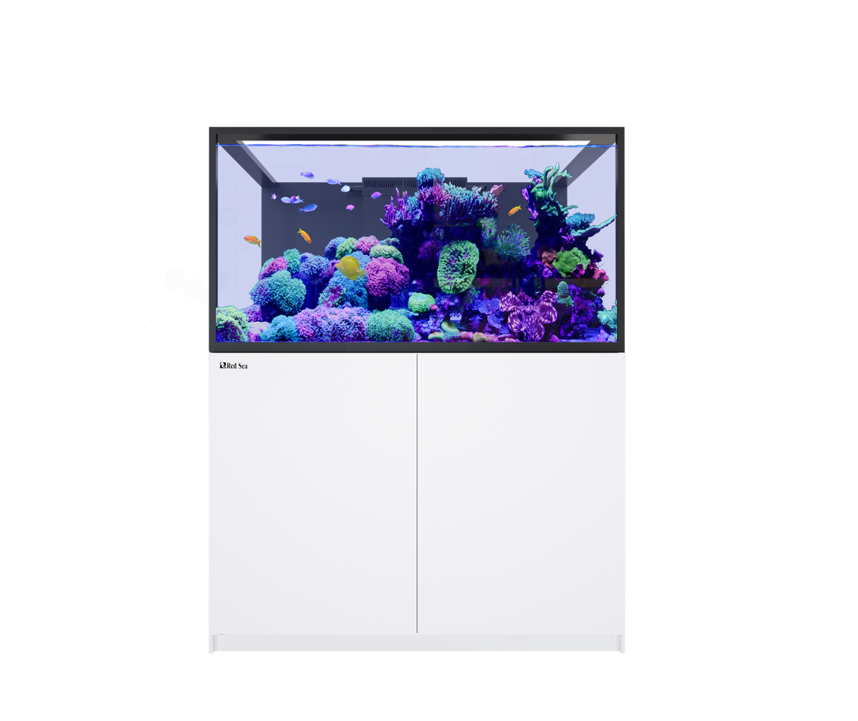 Red Sea Reefer S-550 G3 Aquarium System