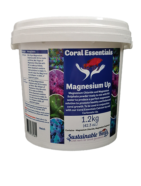 Magnesium Up