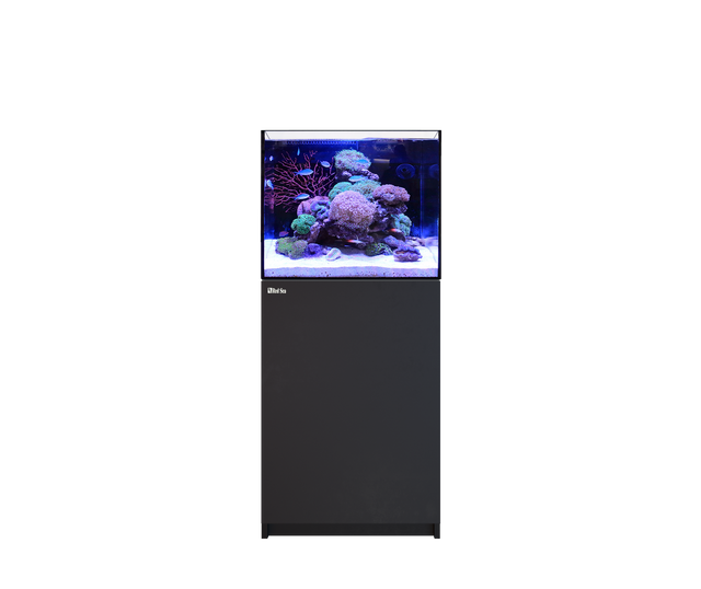 Red Sea Reefer MAX 170 G3 Aquarium Package | EasternMarine Aquariums