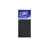 Red Sea Reefer MAX 200 G3 Aquarium Package | EasternMarine Aquariums