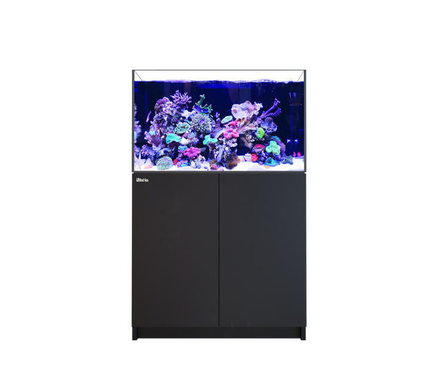 Red Sea Reefer MAX 300 G3 Aquarium Package | EasternMarine Aquariums