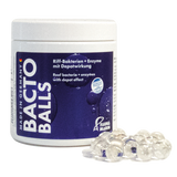 Fauna Marin Bacto Reef Balls