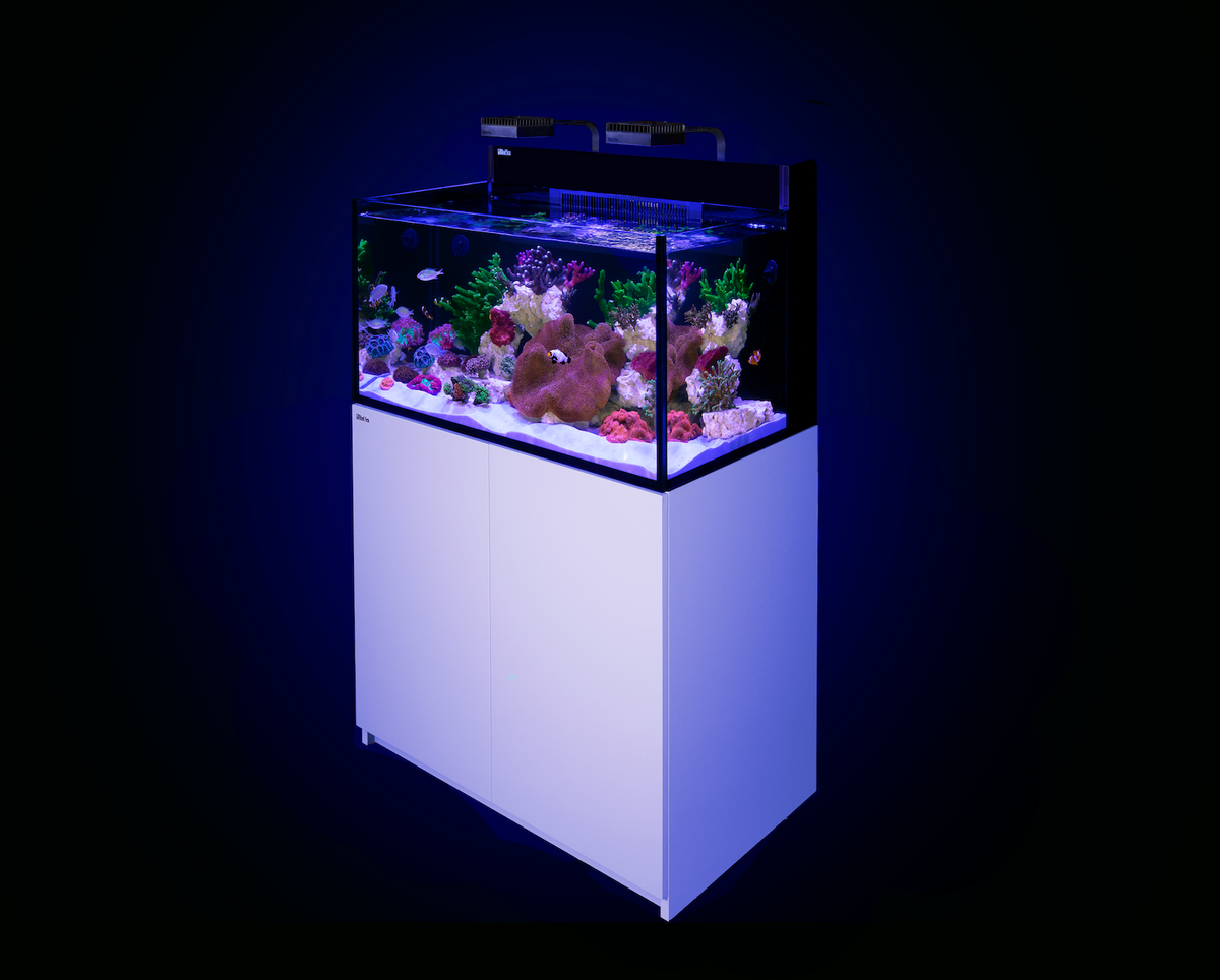 Red Sea Max Nano G2 XXL Aquarium System