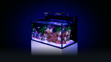 Red Sea Max Nano G2 XXL Aquarium System