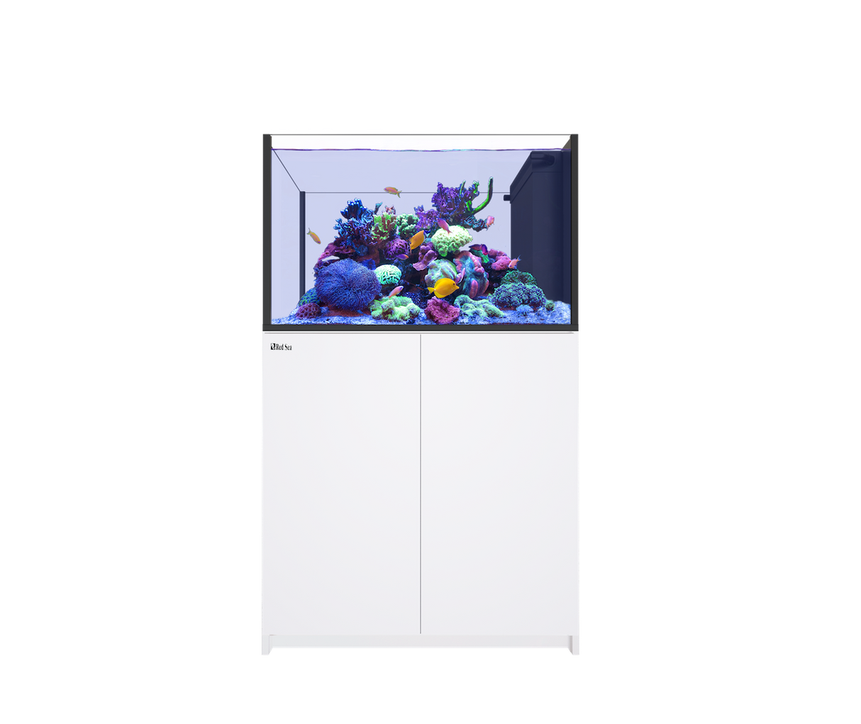 Red Sea Reefer MAX Peninsula 350 G3 Aquarium Package | EasternMarine Aquariums
