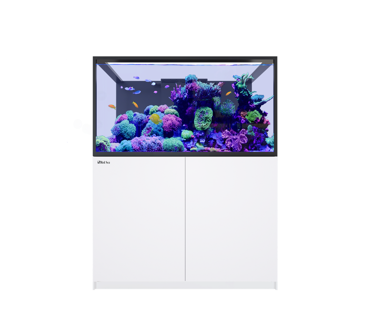 Red Sea Reefer MAX S-550 G3 Aquarium Package | EasternMarine Aquariums