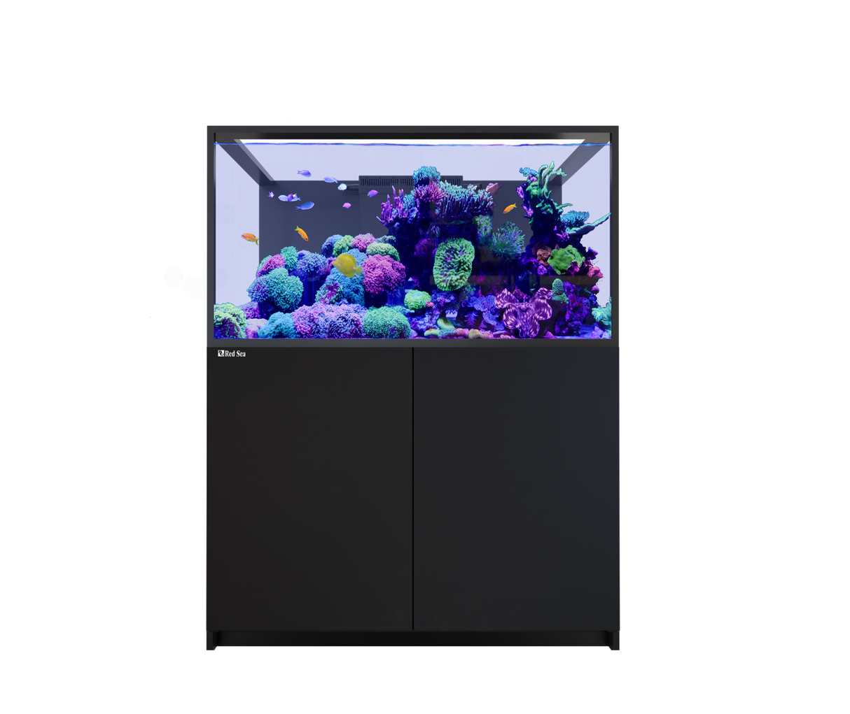 Red Sea Reefer MAX S-550 G3 Aquarium Package | EasternMarine Aquariums