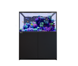 Red Sea Reefer MAX S-550 G3 Aquarium Package | EasternMarine Aquariums