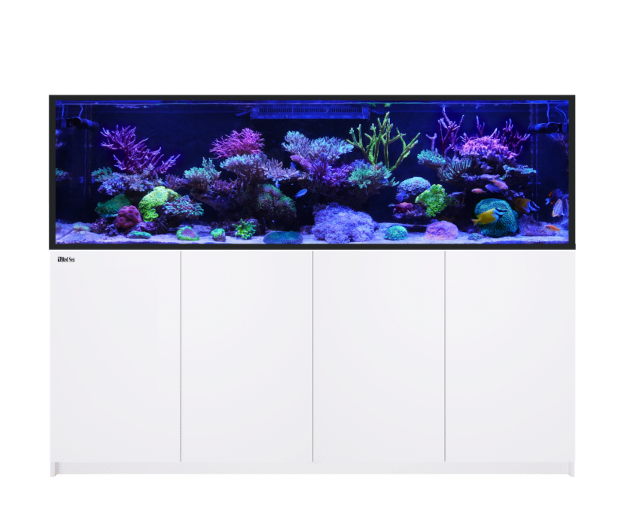 Red Sea Reefer MAX S-1000 G3 Aquarium Package | EasternMarine Aquariums