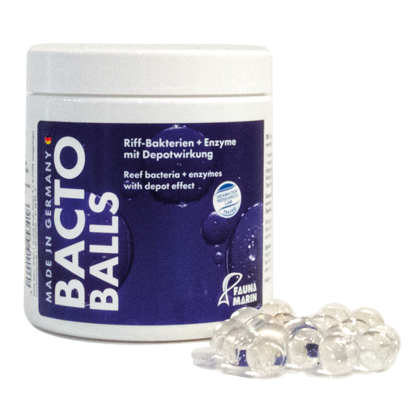 Fauna Marin Bacto Reef Balls