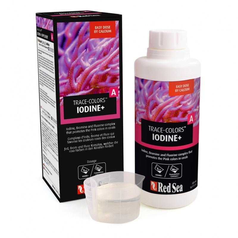 Red Sea Coral Colors A