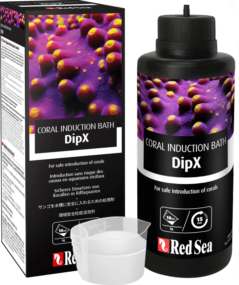 Red Sea DipX Coral Bath