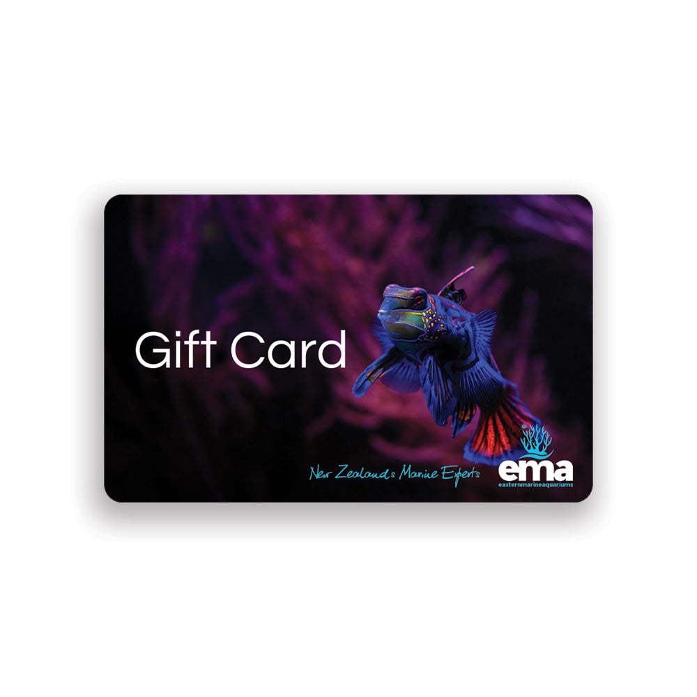 EMA Gift Card