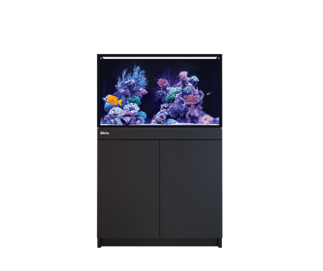 Red Sea REEF-FRAME 250 aquarium system in Black cabinet finish