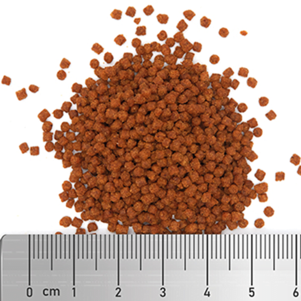 Pile of small brown fish food pellets with a ruler for size reference on a white background.