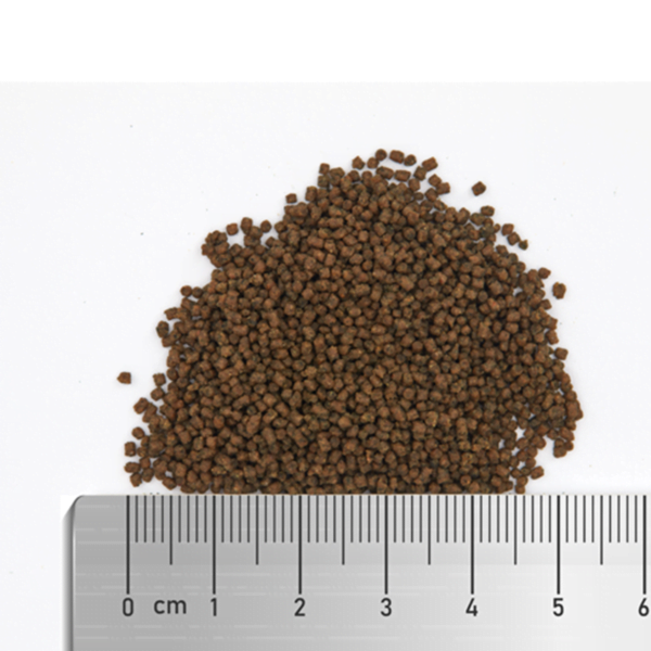 Pile of brown fish food pellets on a white background with a ruler for scale measurement.