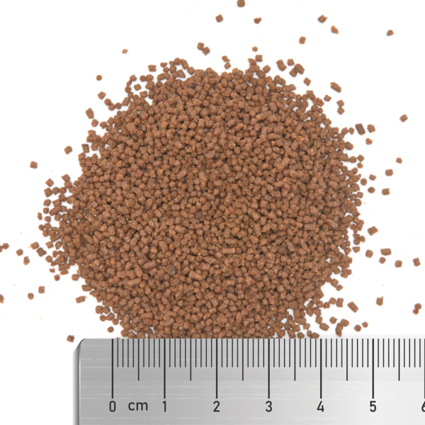 Pile of small brown fish pellets with a ruler for size reference on a white background.