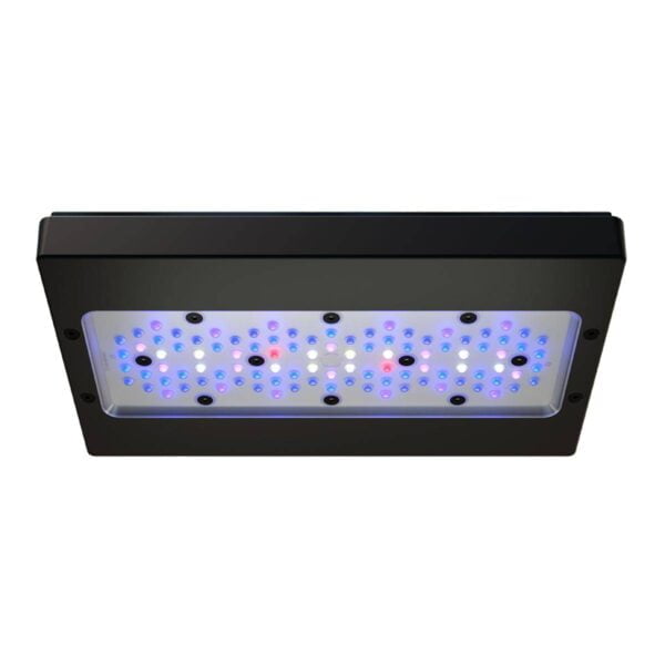 Black LED aquarium light panel with a variety of colored LED bulbs for optimal coral growth.