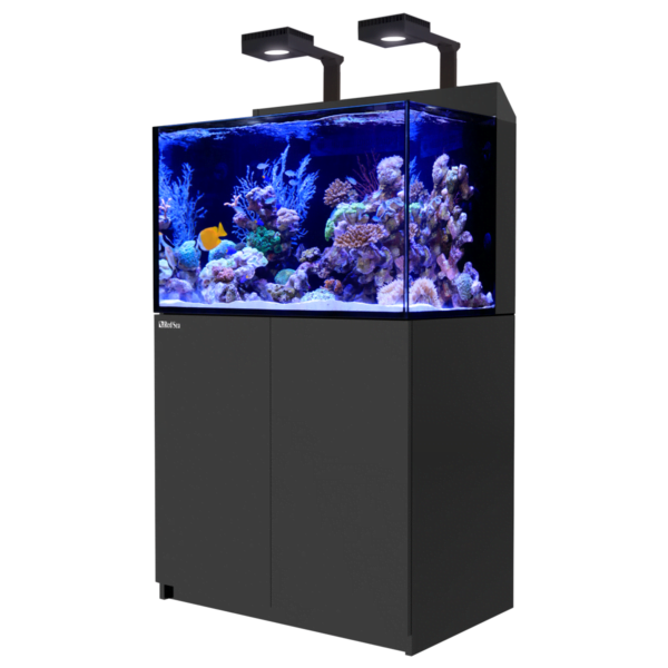 Red Sea aquarium setup with LED lights, showcasing a vibrant reef tank with various corals and fish.