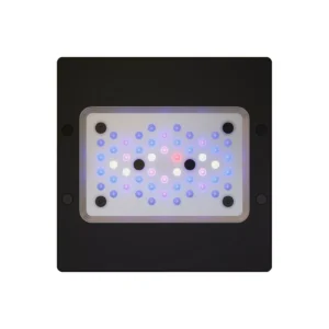 Square aquarium LED light panel with multiple blue, white, and red lights in a black frame.