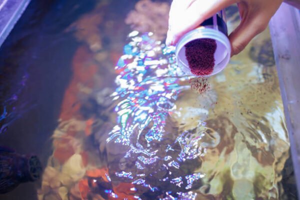 Hand pouring fish food into an aquarium with vibrant light reflections on the water surface.